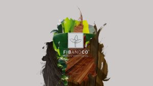 Identite visuelle Fib and Co