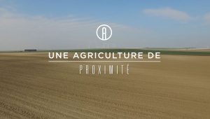 Producteurs locaux arpege 1