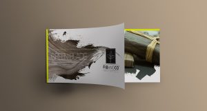 Identite visuelle Fib and Co 2