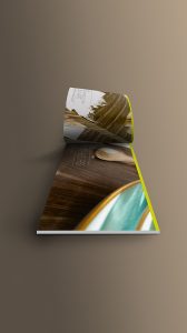 Identite visuelle Fib and Co 3