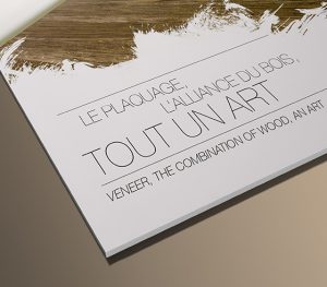 Identite visuelle Fib and Co 4