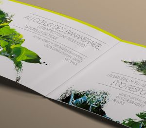 Identite visuelle Fib and Co 5