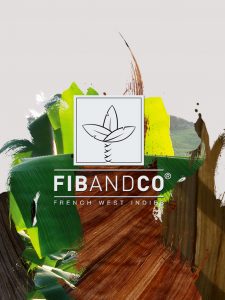 Identite visuelle Fib and Co_mhero