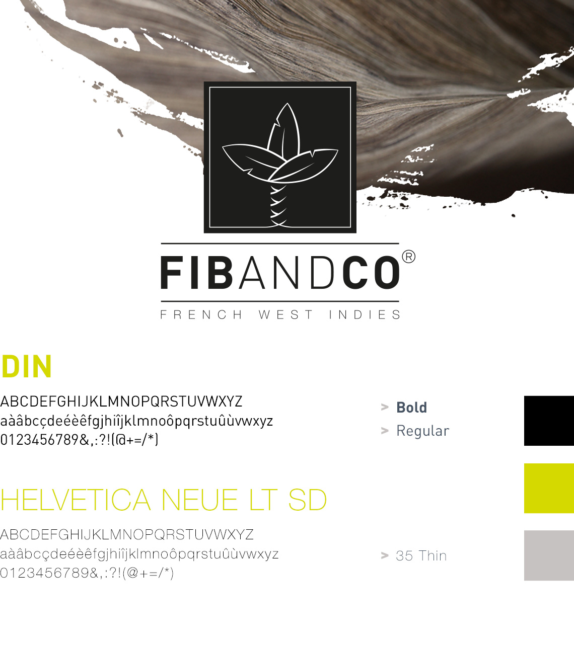 Identite visuelle Fib and Co 1