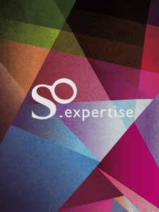 IDENTITE VISUELLE SO EXPERTISE