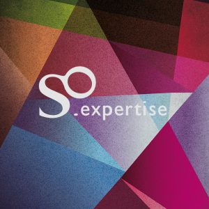 IDENTITE VISUELLE SO EXPERTISE